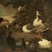 Turkey, Geese, a Shelduck, and Other Fowl, in a Landscape with a Stream